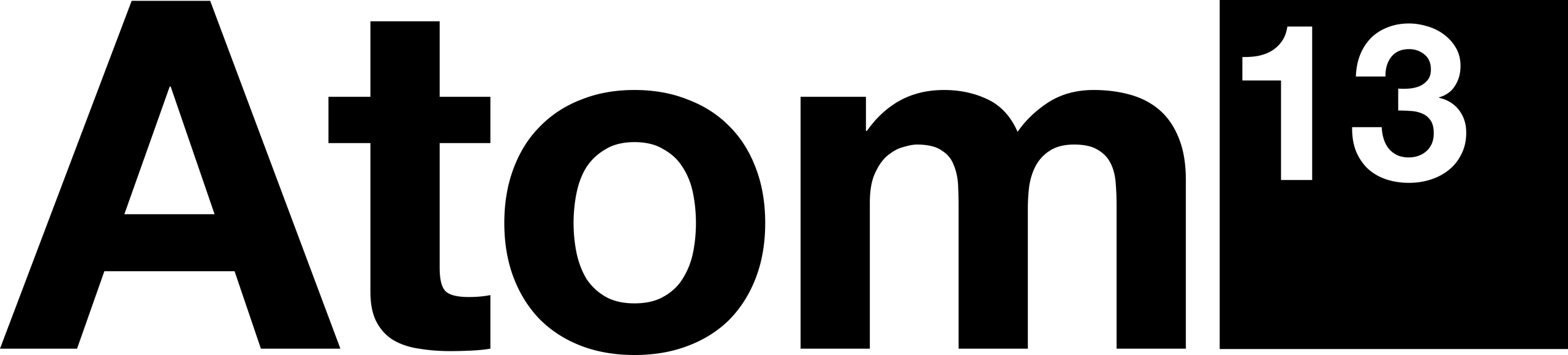 Atom13 webshop